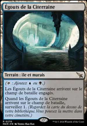Égouts de la Citerraine