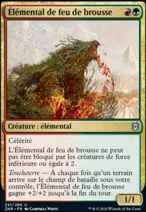 Élémental de feu de brousse