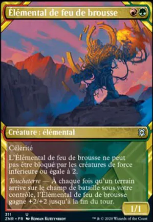 Élémental de feu de brousse