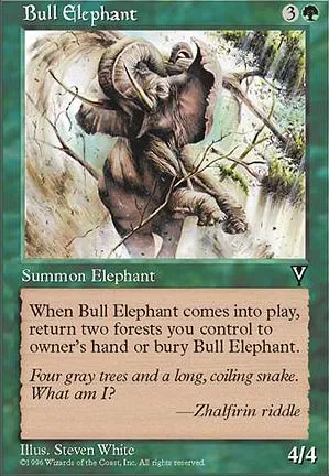 Éléphant mâle