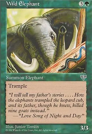 Éléphant sauvage