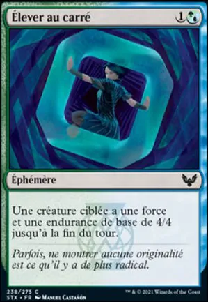 Élever au carré