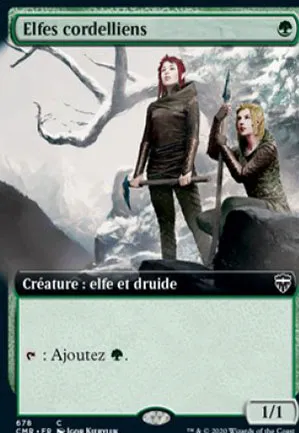 Elfes cordelliens
