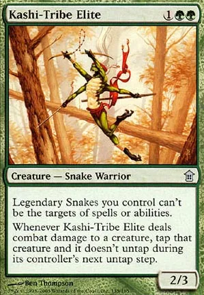 Élite de la tribu Kashi