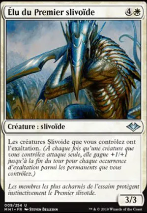 Élu du Premier slivoïde