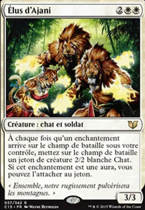 Élus d'Ajani