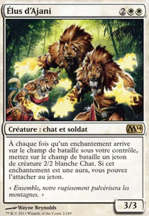 Élus d'Ajani