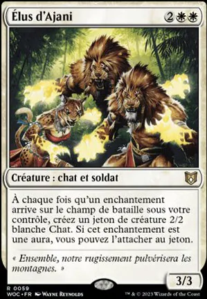 Élus d'Ajani