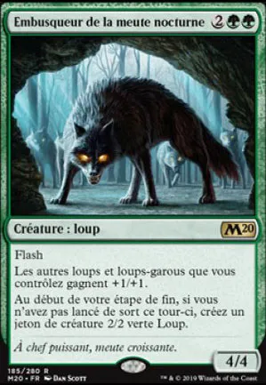 Embusqueur de la meute nocturne