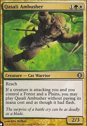 Embusqueur qasali