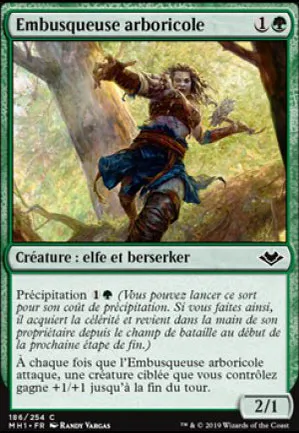 Embusqueuse arboricole