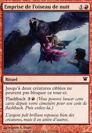 Emprise de l'oiseau de nuit