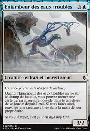 Enjambeur des eaux troubles