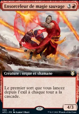 Ensorceleur de magie sauvage