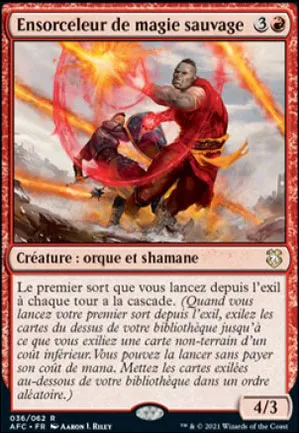 Ensorceleur de magie sauvage