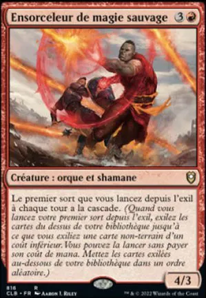 Ensorceleur de magie sauvage