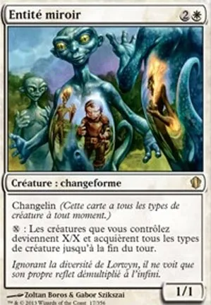 Entité miroir