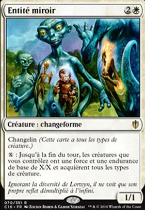 Entité miroir