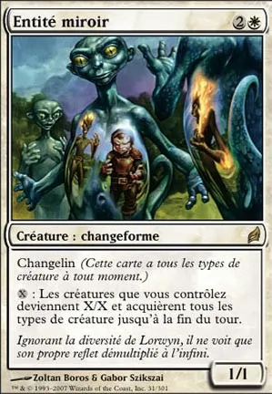 Entité miroir