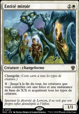 Entité miroir