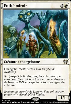 Entité miroir