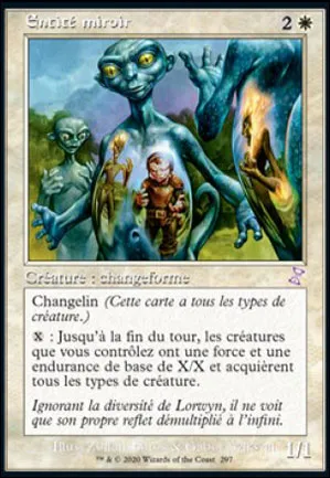 Entité miroir
