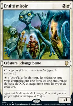 Entité miroir
