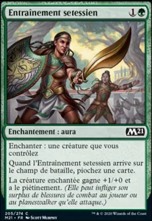 Entraînement setessien
