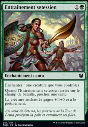 Entraînement setessien