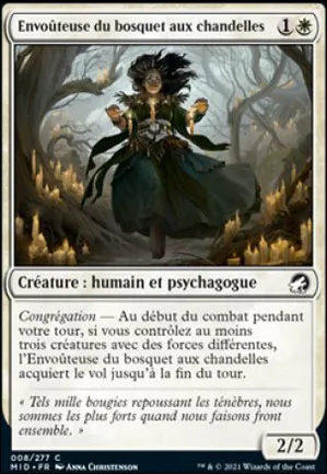 Envoûteuse du bosquet aux chandelles