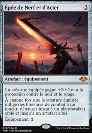 Épée de Nerf et d'Acier
