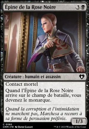 Epine de la Rose Noire