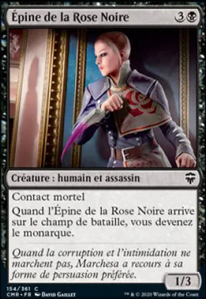 Epine de la Rose Noire