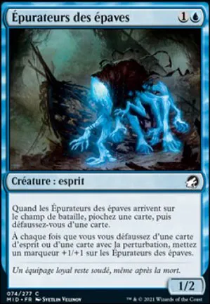 Épurateurs des épaves