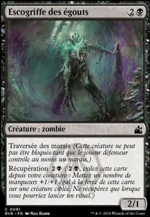 Escogriffe des égouts