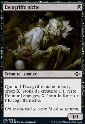 Escogriffe niché