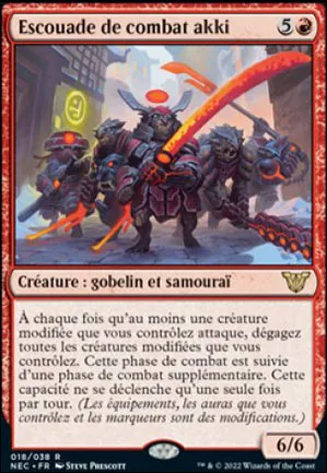 Escouade de combat akki