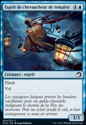 Esprit de chevaucheur de tempête
