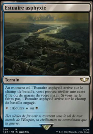 Estuaire asphyxié