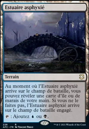 Estuaire asphyxié