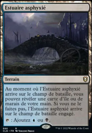 Estuaire asphyxié