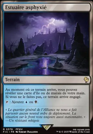 Estuaire asphyxié