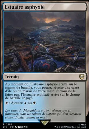 Estuaire asphyxié