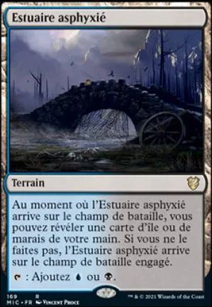 Estuaire asphyxié