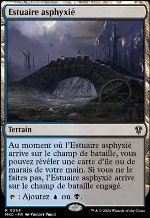 Estuaire asphyxié