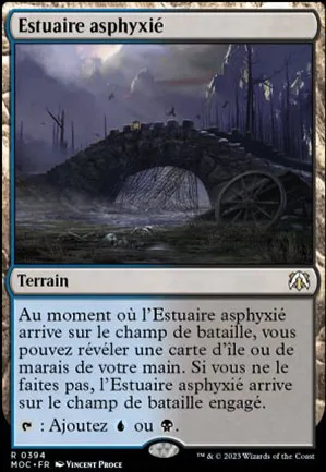 Estuaire asphyxié