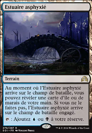 Estuaire asphyxié
