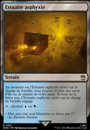 Estuaire asphyxié
