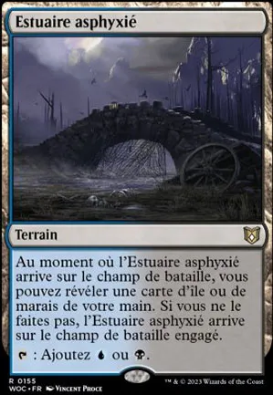 Estuaire asphyxié