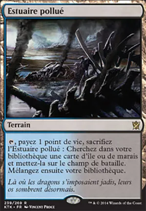 Estuaire pollué